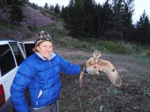 Kate Stone, Avian Scientist at MPG Ranch, has recently completed a radio telemetry study of Saw-Whet owls that found, among other things, that at least one owl was able to fly 26 miles in a single night. Saw-whet owls have been documented in other studies to fly up to 63 miles in a day.