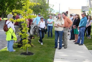 ISA-certified Master Arborist Sylvia McNeill (center) leads a tour of the city’s tree lined streets as part of her ongoing efforts at devising an urban forest management plan for Hamilton.