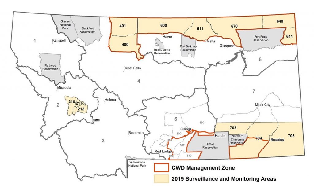 Addressing Chronic Wasting Disease in Montana - Bitterroot Star