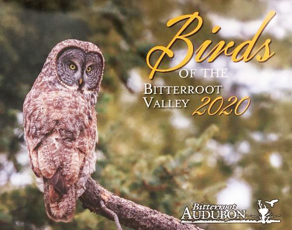 It's here new Bitterroot Audubon calendar available Bitterroot Star