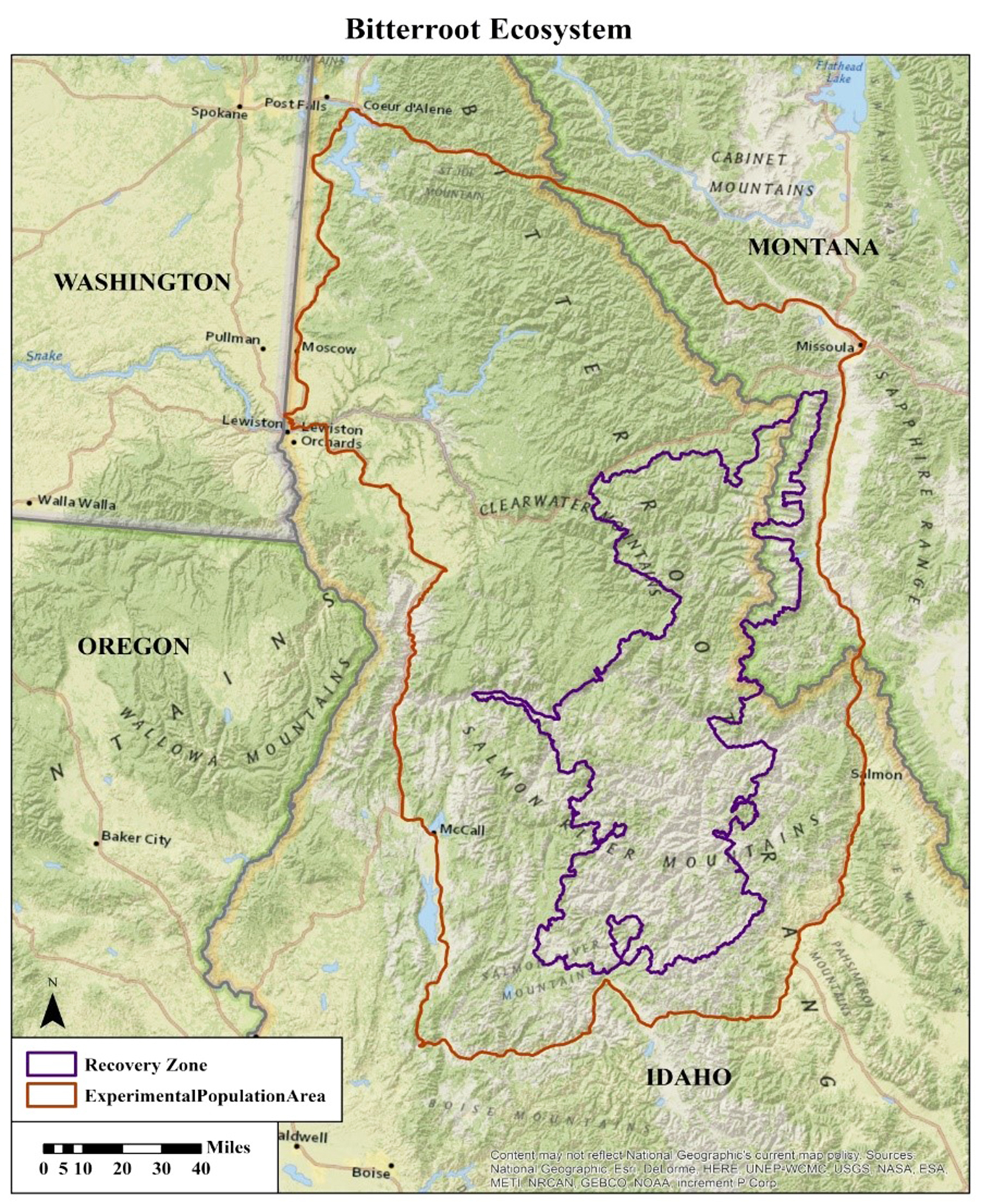 Living with Grizzly Bears in the Bitterroot - Bitterroot Star