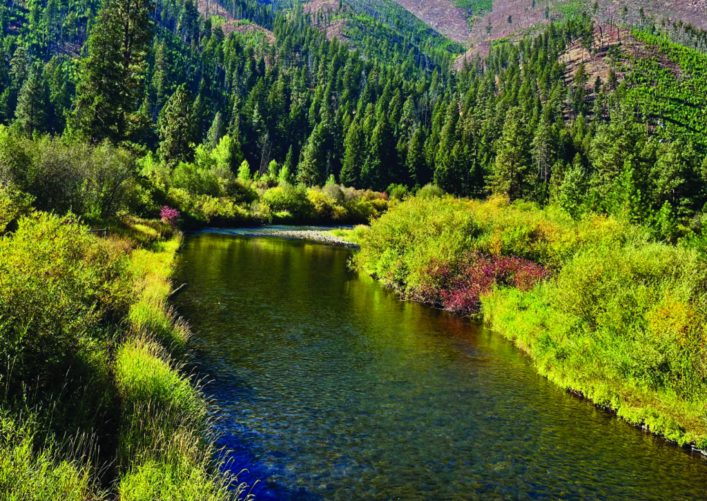 Sula river property to be managed for public use Bitterroot Star