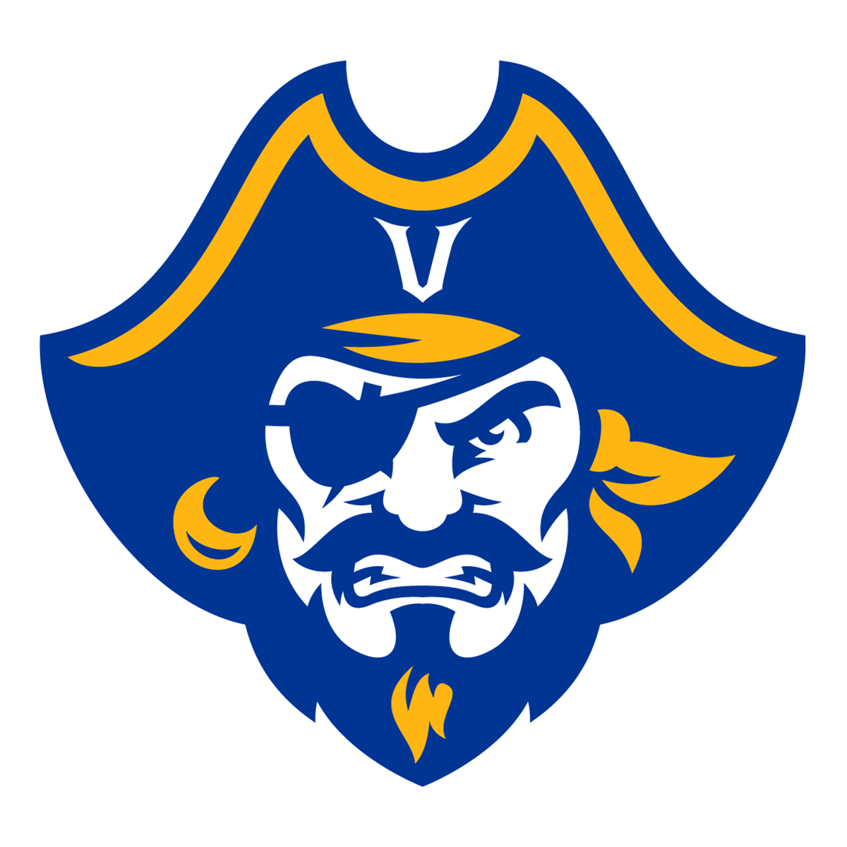 Victor school launches campaign to help prevent youth suicide