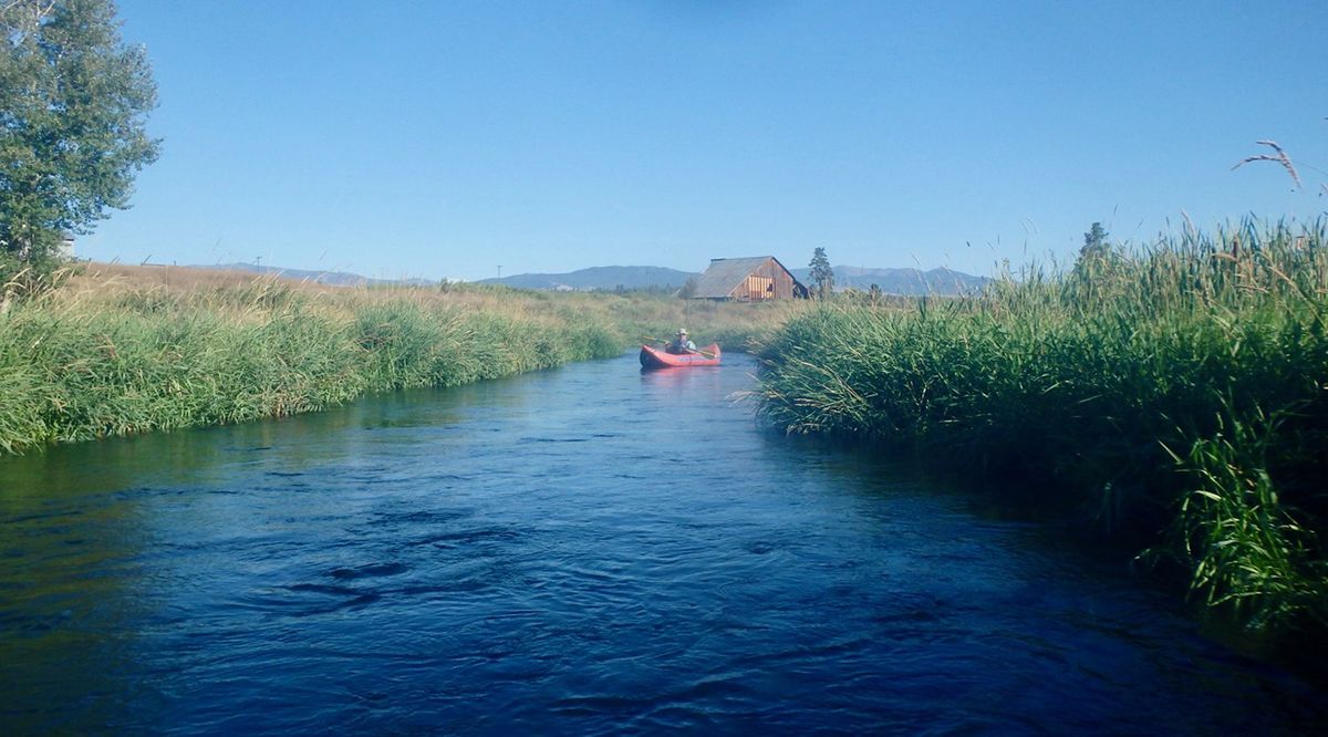 Motor boat ban being considered for Mitchell Slough - Bitterroot Star