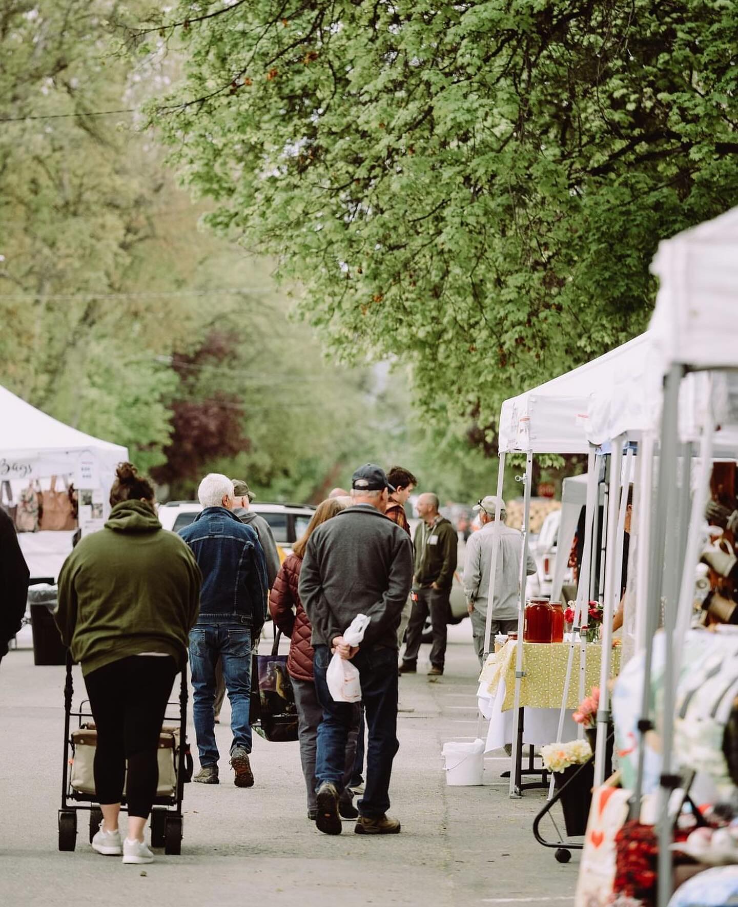 Hamilton Farmers Market